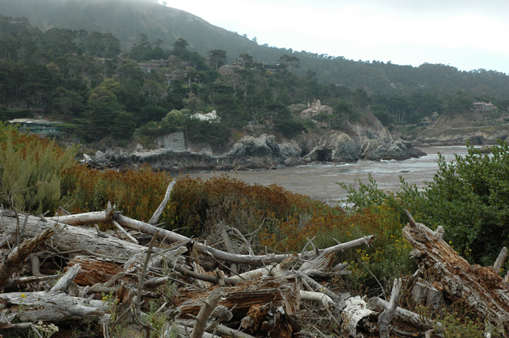 Point Lobos 045.jpg